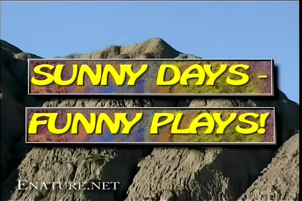 Enature - Sunny Days – Funny Plays - Nudism and naturism are a path to natural harmony and inner wholeness